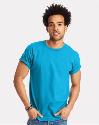 Hanes 5250 Authentic T-Shirt
