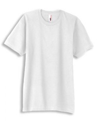 980 Gildan Adult Softstyle T Shirt